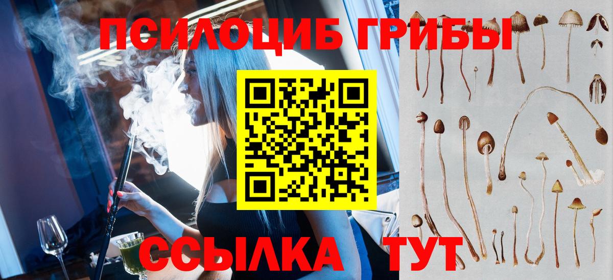 Ступино  что такое наркотик  Вход с VPN  Псилоцибиновые грибы мицелий 